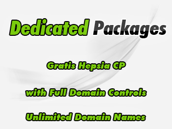 Inexpensive dedicated servers hosting package